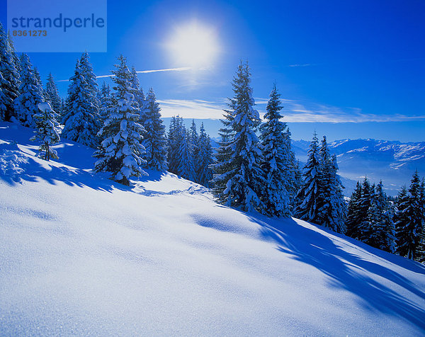 Winterlandschaft  Brixental  Tirol  Österreich  Europa