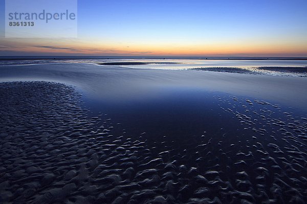 Nationalpark Schleswig-Holsteinisches Wattenmeer  Schleswig-Holstein  Deutschland  Europa