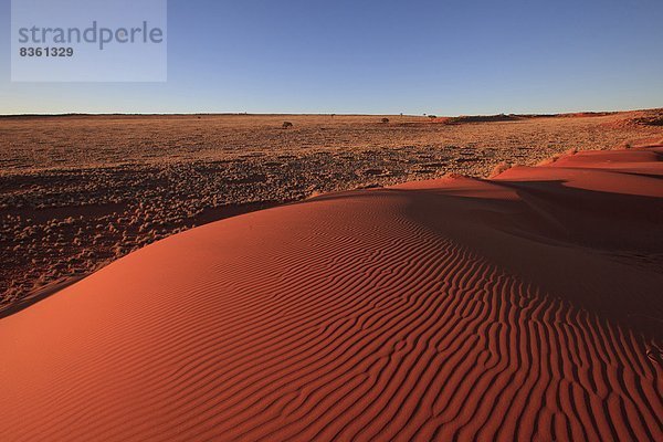 Namib-Rand-Naturpark  Namibia  Afrika