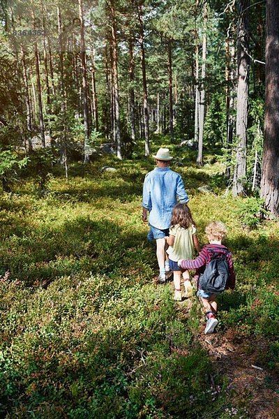 Vater und Töchter wandern durch den Wald