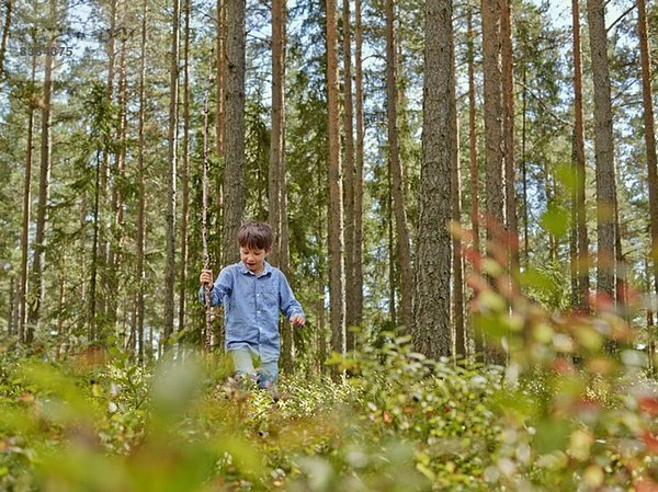 Junge geht durch den Wald und trägt Stock