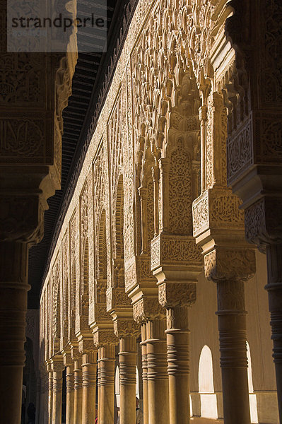 Europa Andalusien Alhambra Granada Spanien