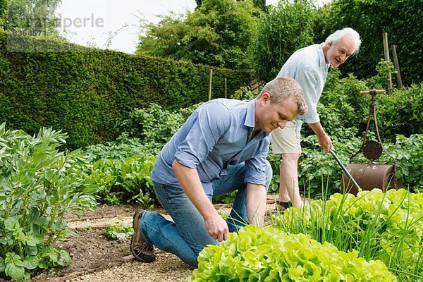 Vater und erwachsener Sohn Gartenarbeit