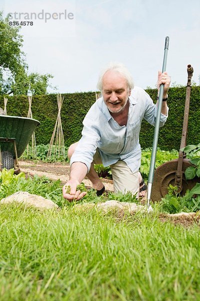 Senior Mann Gartenarbeit