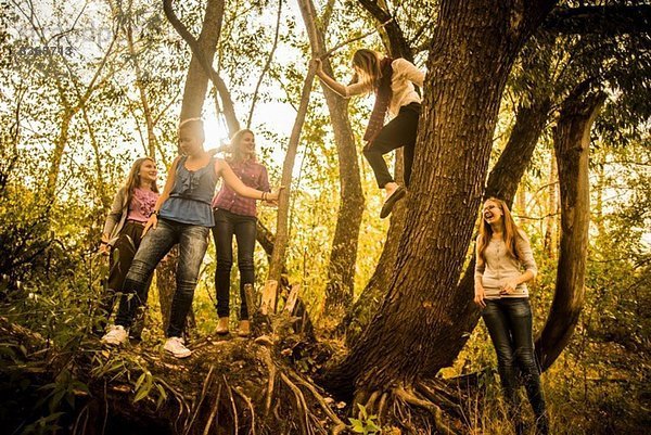 Fünf junge Frauen erkunden den Wald