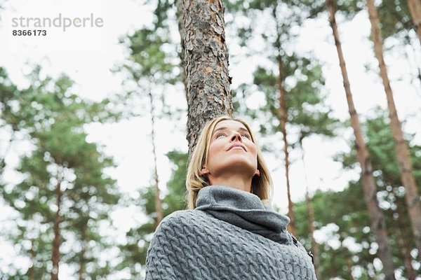 Mittlere erwachsene Frau im Wald  niedriger Winkel