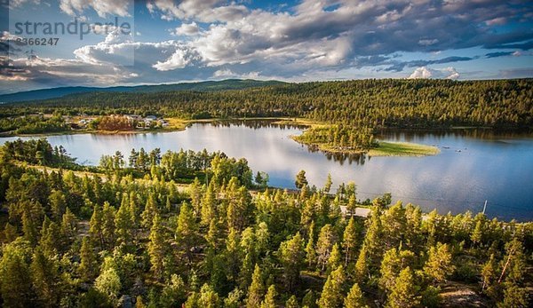 Wasser und Wald  Adolfstromm  Lappland  Schweden
