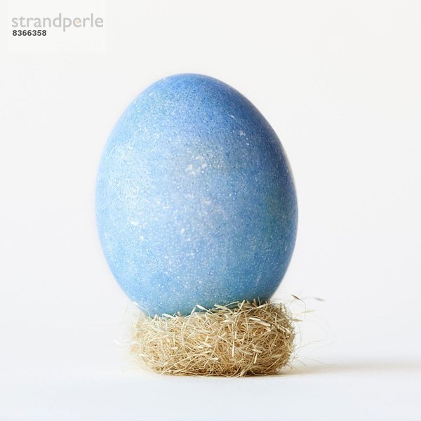 Stilleben mit großem blauen Ei auf kleinem Nest ausgewogen