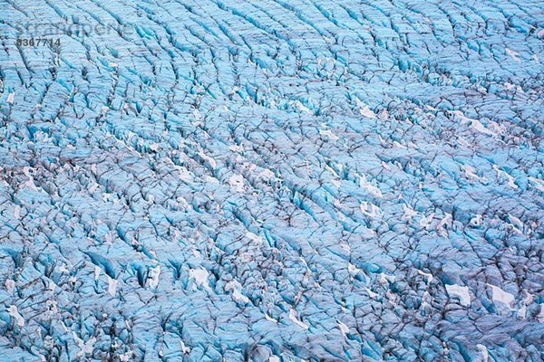Mendenhall Gletscher  Alaska  USA