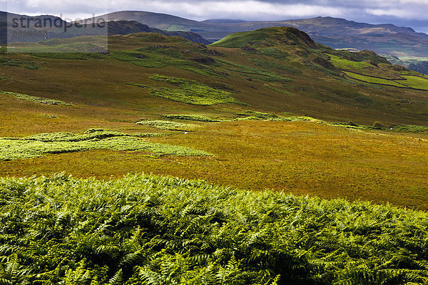 Großbritannien  Hügel  See  Ansicht  Cumbria  Ortsteil  England