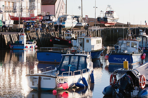 Fischereihafen  Fischerhafen  Großbritannien  Küste  Boot  angeln  Bucht  Dorset  England  Westen