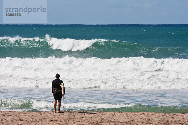 Windsurfer  surfer  neu