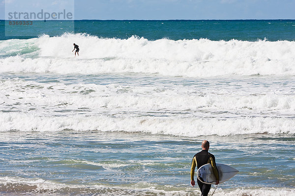 Windsurfer  surfer  neu