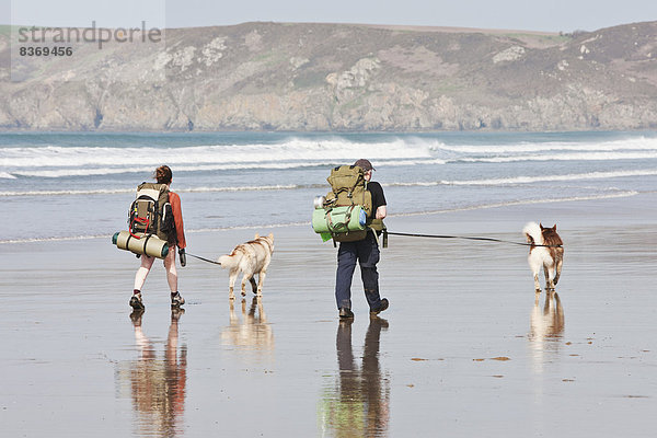 Strand Großbritannien Weg Küste Hund wandern Wales