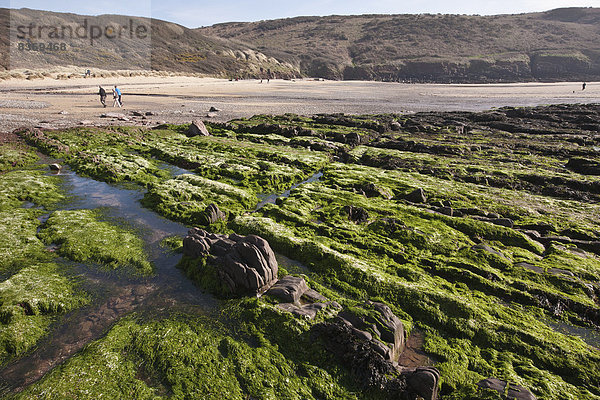 Felsbrocken  Strand  Großbritannien  Weg  Küste  Anordnung  Wales