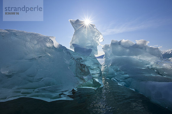 Eisberg  Wasser  Ruhe  Eingang  fließen  Herbst  Tracy Arm-Fords Terror  Bucht