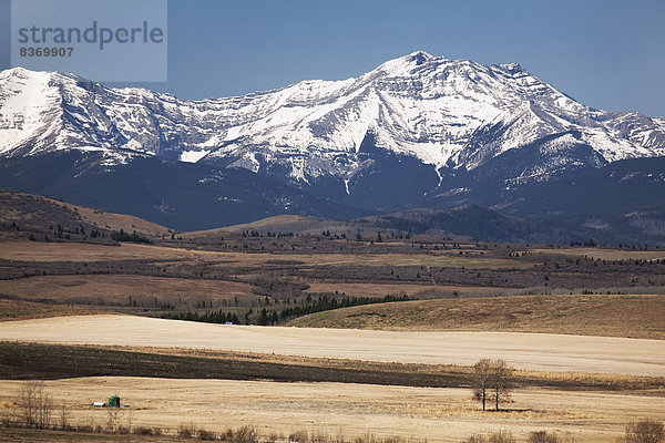 Berg  bedecken  Himmel  blau  Fokus auf den Vordergrund  Fokus auf dem Vordergrund  Vorgebirge  Weite  Alberta  Kanada  Schnee