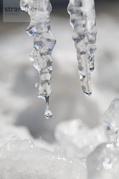 hoch  oben  nahe  Wasser  Wassertropfen  Tropfen  2  Eiszapfen  Alberta  Calgary  Kanada