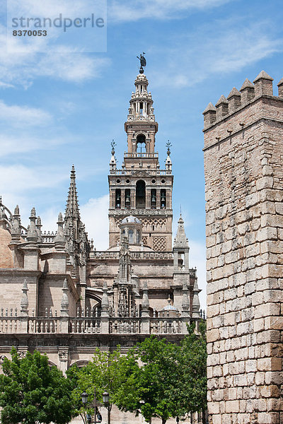 Kathedrale  Andalusien  Glocke  Sevilla  Spanien