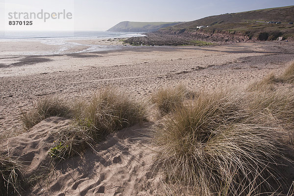 Strand  Küste  Wachstum  Sand  vorwärts  Wiese