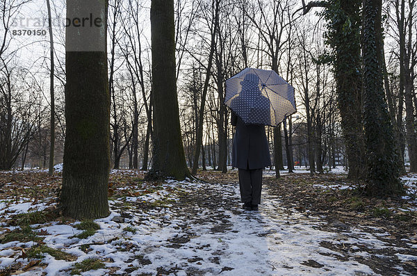 stehend  Frau  Regenschirm  Schirm  Baum  halten  umgeben  Spur  Zimmer  Schnee