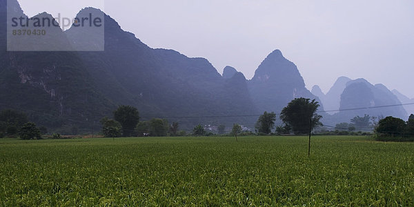 Felsbrocken  Felsen  Landschaft  grün  Nutzpflanze  Anordnung  Feld