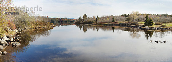 Vereinigte Staaten von Amerika  USA  Wolke  Ruhe  Baum  Spiegelung  Herbst  Maine  Teich