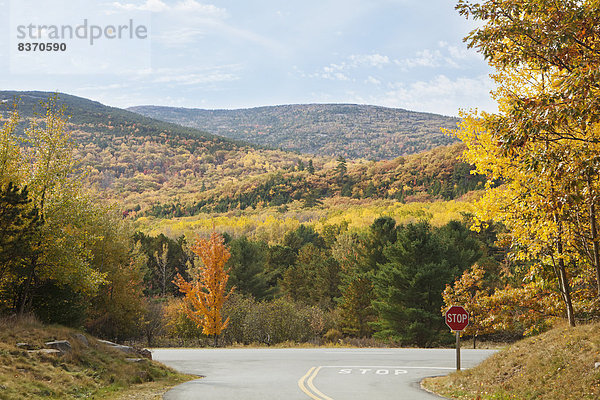 Vereinigte Staaten von Amerika  USA  Farbaufnahme  Farbe  Baum  Fernverkehrsstraße  Zeichen  Ende  Herbst  Stoppschild  Maine  Signal  einstellen