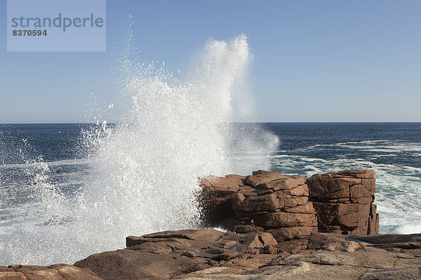 Vereinigte Staaten von Amerika USA Nationalpark Felsen Ozean Küste Zusammenstoß Atlantischer Ozean Atlantik Maine