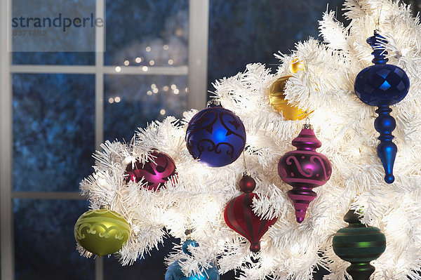 Vereinigte Staaten von Amerika USA Anschnitt Farbaufnahme Farbe Fenster hängen weiß frontal Weihnachtsbaum Tannenbaum Dekoration Mondschein Kalifornien