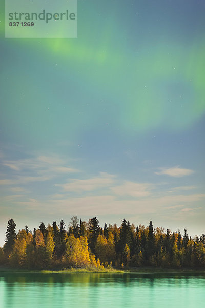 Vereinigte Staaten von Amerika  USA  Wasser  Himmel  See  Spiegelung  Beleuchtung  Licht  Herbst  Norden  Zimmer  Chena River  Alaska  Fairbanks  Laub  Entspannung