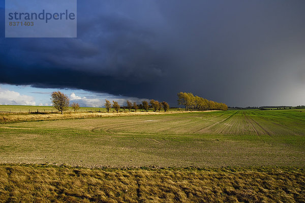 Wolke  Dunkelheit  Himmel  unterhalb  Agrarland  Hertfordshire  England