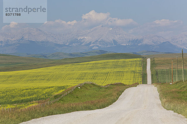 führen  Berg  Felsen  Bauernhof  Hof  Höfe  Fernverkehrsstraße  Feld  Kies  vorwärts  Alberta  Kanada