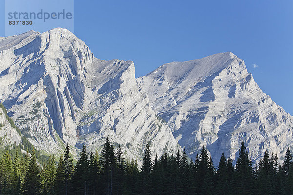 Berg  bedecken  Felsen  Wald  Kananaskis Country  Alberta  unterhalb  Kanada  kanadisch  Schnee