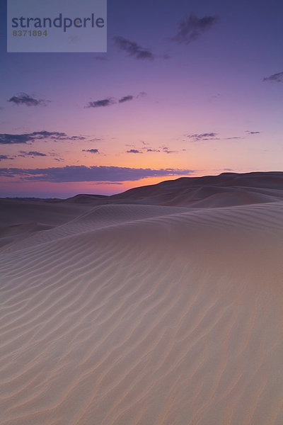 Abu Dhabi  Hauptstadt  Vereinigte Arabische Emirate  VAE  Sonnenuntergang  über  Sand  Düne  Oase