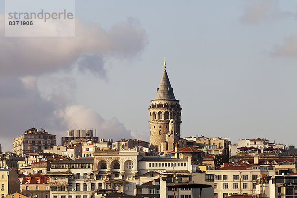 Truthuhn  Ansicht  Ortsteil  Istanbul  Türkei