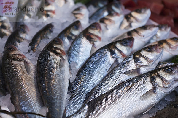 Fische zum Verkauf am Borough Market London  England