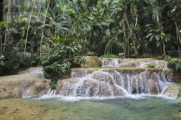 Attraktivität  Garten  Wasserfall  Jamaika