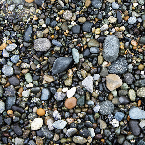 Fischereihafen  Fischerhafen  Vereinigte Staaten von Amerika  USA  Felsbrocken  Strand  nass  Eiche