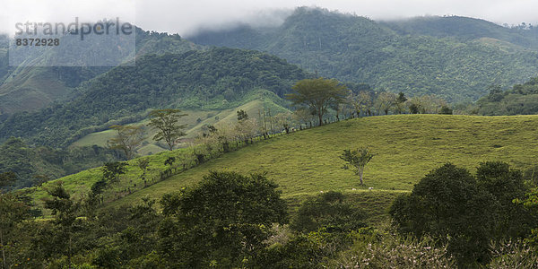 Wolke  Baum  Landschaft  Hügel  Wiese  Guatemala