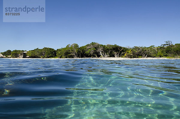 durchsichtig  transparent  transparente  transparentes  Wasser  Küste  Insel  türkis  Bay islands  Honduras