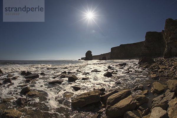 Wasserrand  Felsbrocken  Helligkeit  Wasser  waschen  Silhouette  über  Steilküste  Bucht  England  Süden  Sonne  Tyne and Wear