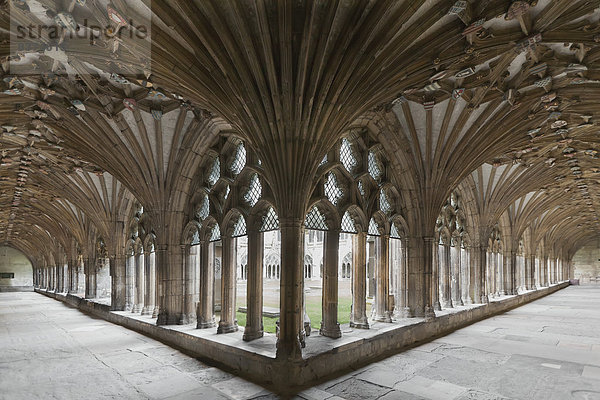 verziert  Kathedrale  Säule  Decke  England  Kent