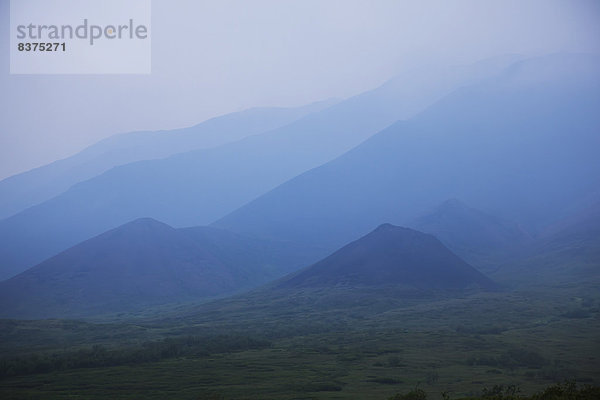 Vereinigte Staaten von Amerika  USA  Berg  verstecken  Rauch  Wald  Nebel  Produktion  blau  Feuer  Stück  Denali Nationalpark  Alaska