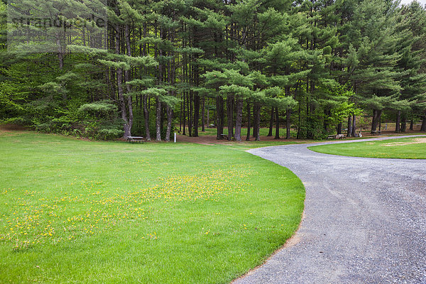 Vereinigte Staaten von Amerika  USA  Landschaftlich schön  landschaftlich reizvoll  Fernverkehrsstraße  Boden  Fußboden  Fußböden  Campingplatz  Kiefer  Pinus sylvestris  Kiefern  Föhren  Pinie  Höhle  Vermont