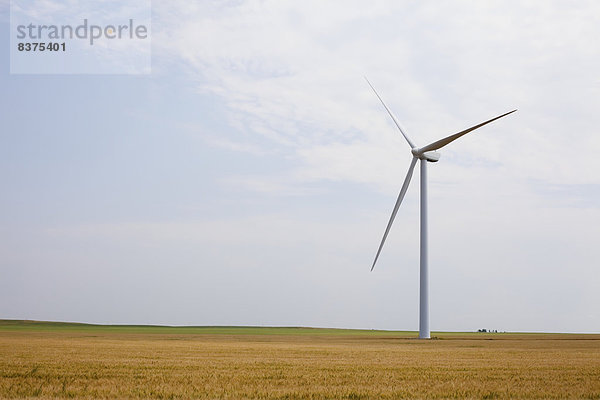 Windturbine Windrad Windräder Feld Alberta Kanada