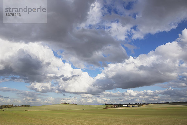 Wolke  Himmel  grün  unterhalb  Feld  blau  Weite  Hertfordshire  England