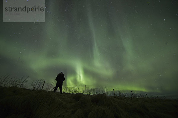 stehend  über  Mensch  tanzen  Beleuchtung  Licht  Feld  Norden  Polarlicht  Aurora  Island