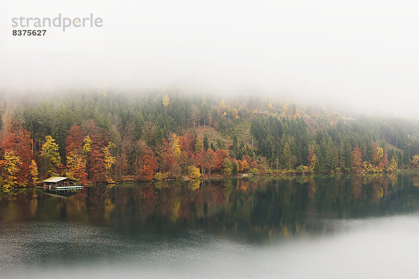 Farbaufnahme  Farbe  Ecke  Ecken  See  Nebel  Dock  Herbst  vorwärts  Füssen  Bayern  Deutschland