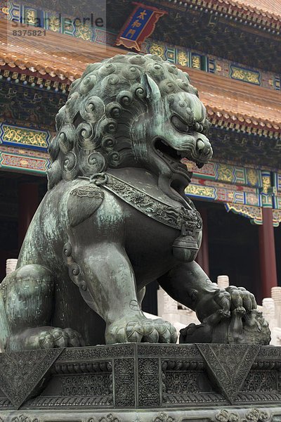 Löwe  Panthera leo  Gebäude  Großstadt  bunt  verziert  Fassade  frontal  Statue  verboten  Peking  Hauptstadt  China
